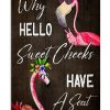 Flamingo-Why-hello-Sweet-Cheeks-Have-A-Seat-Toilet-Poster