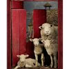 Live-like-someone-left-the-gate-open-Sheep-poster