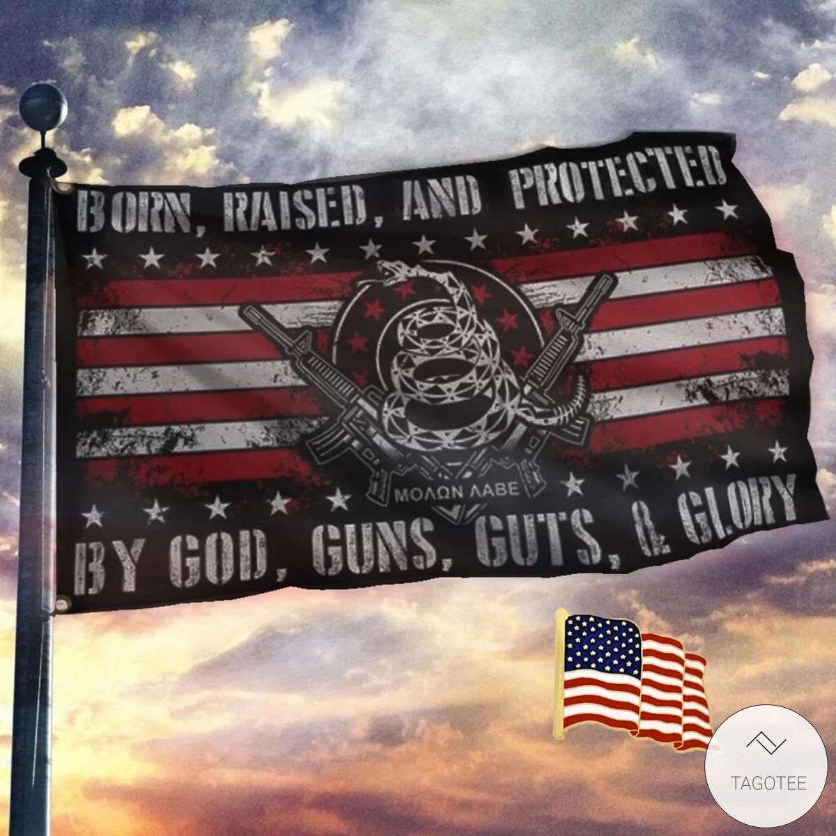 Born-Raised-And-Protected-By-God-Guns-Guts-And-Glory-Flag