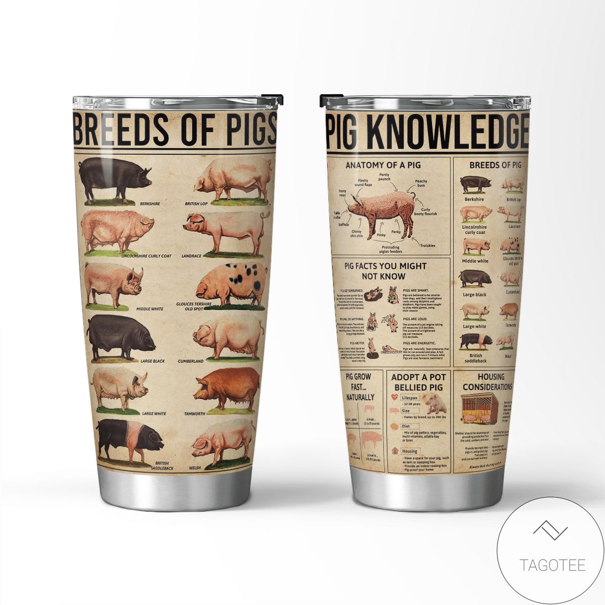 Breeds Of Pigs Pig Knowledge Tumbler
