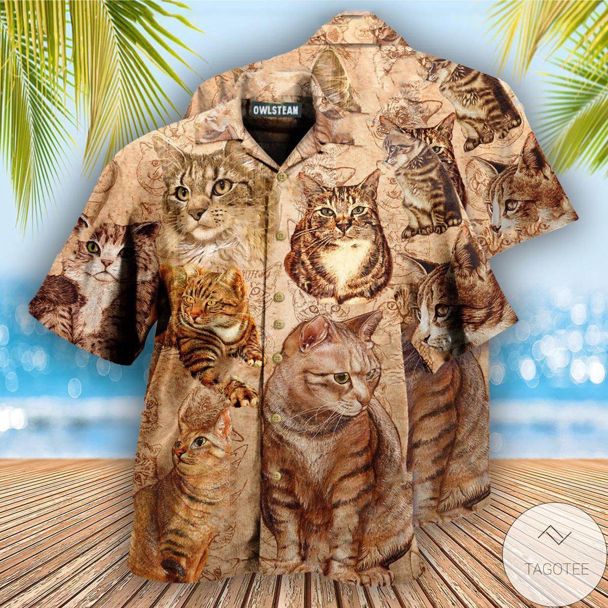 Cats If You Don't Like Cat You Don't Like Me Hawaiian Shirt